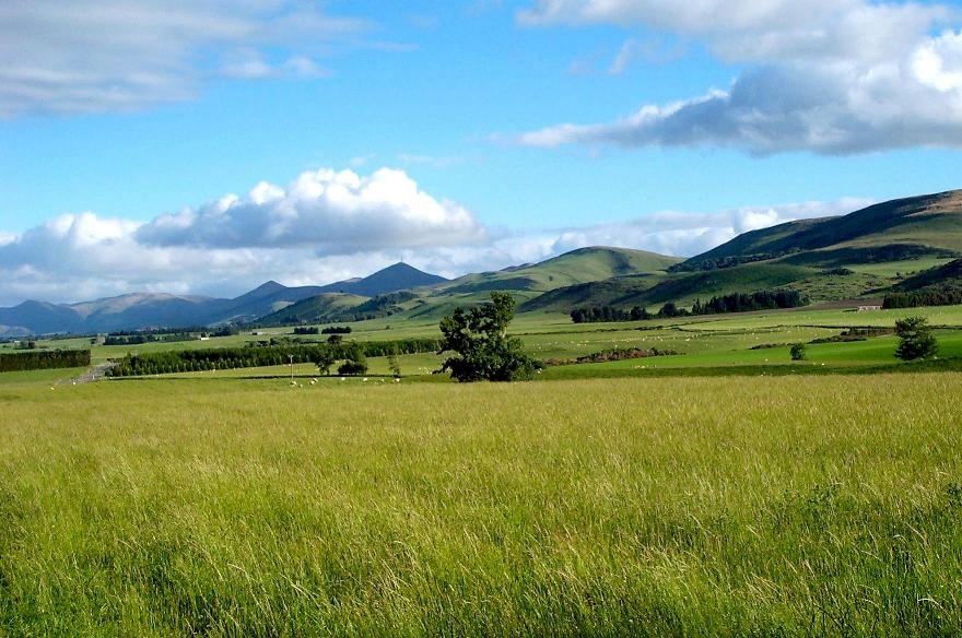 full-screen-background-image